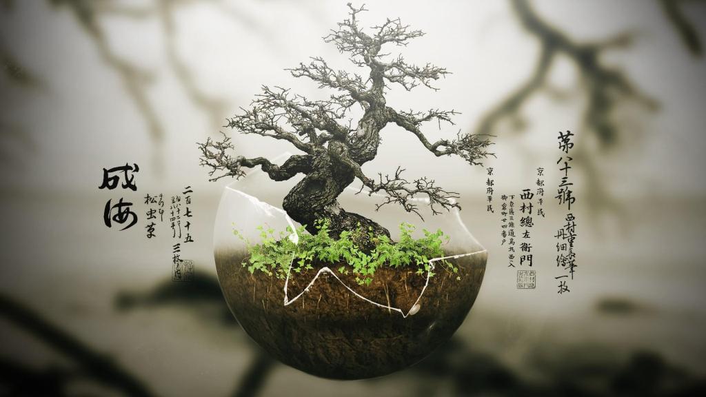 bonsai_chinese